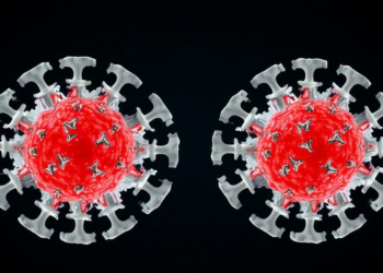Two Faces of the Hepatitis B Capsid Protein Reveal Distinct Drug Binding Sites