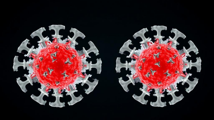 Two Faces of the Hepatitis B Capsid Protein Reveal Distinct Drug Binding Sites