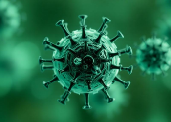Computational Vaccine Design Takes Aim at the Emerging Oropouche Virus