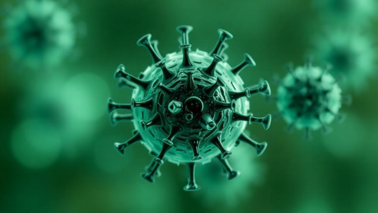 Computational Vaccine Design Takes Aim at the Emerging Oropouche Virus