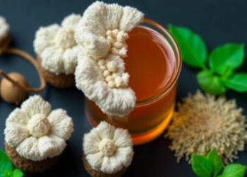 Fungi and Gut Microbes Reshape the Tea Compound EGCG in Surprisingly Different Ways