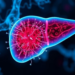 The Fibroblast Problem: Why Liver Cancer Drugs So Often Fail