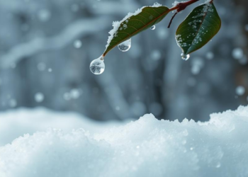 Riming Leaves a Hidden Isotopic Fingerprint in Rain and Snow Worldwide