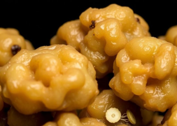 Potato-Sized Clues: Deep-Sea Nodules Reveal Their Metal-Rich Secrets