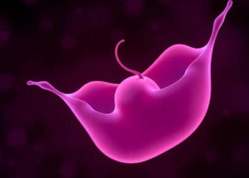 Estradiol Emerges as a Surprising Early Clue to a Rare Infant Hormone Disorder