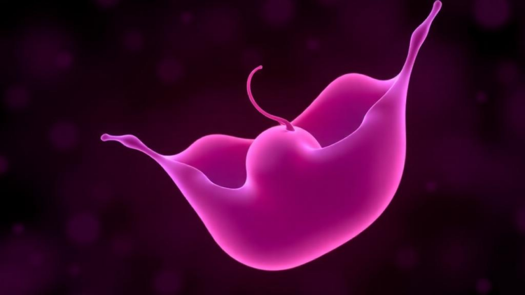 Estradiol Emerges as a Surprising Early Clue to a Rare Infant Hormone Disorder