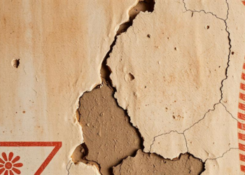 AI Network Learns to Spot Faint Damage on Ancient Murals