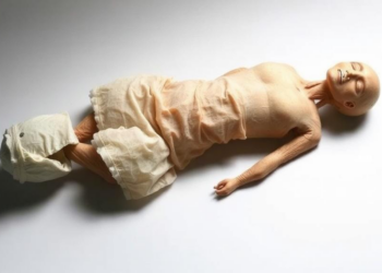 A Body Encased in Salt: Forensic Scientists Report First Modern Case of Natural Salt Mummification