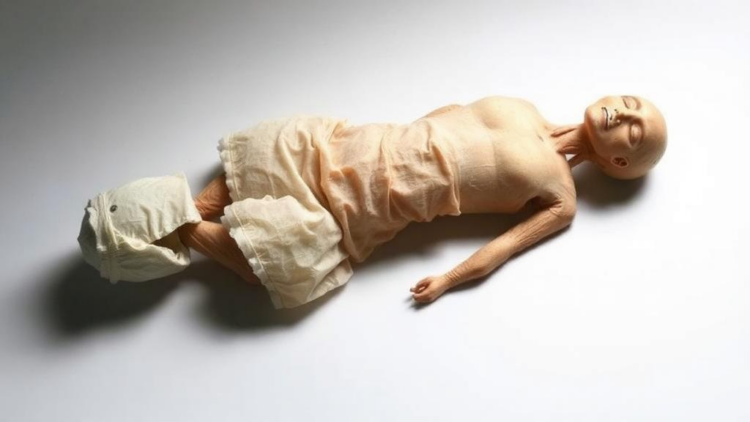A Body Encased in Salt: Forensic Scientists Report First Modern Case of Natural Salt Mummification