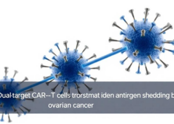 Dual-Target CAR-T Cells Outsmart Antigen Shedding in Ovarian Cancer