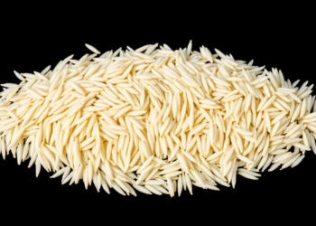Deep Learning Learns to Tell Rice Varieties Apart, One Grain at a Time