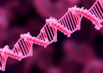 Different Genetic Roads Lead to the Same Drug Resistance in Candida albicans