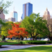Mobile Phone Data Reveal Which City Parks Actually Pay Off as Health Assets