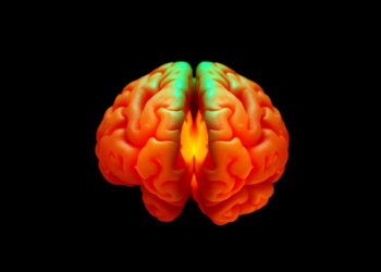 Reversing Frailty Before It Takes Hold May Shield the Aging Brain From Dementia