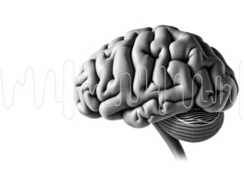 Millisecond Timing in Sound: How Brains from Rats to Humans Decode Rapid Click Patterns