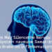 Diabetes May Silence the Nervous System’s Built-In Brake on Inflammation