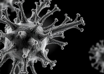 Cryo-EM Exposes Hidden Architecture of a Bacterial Antiviral Weapon Found in Pathogens