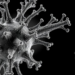 Cryo-EM Exposes Hidden Architecture of a Bacterial Antiviral Weapon Found in Pathogens
