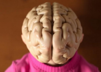 Neighborhood Stress May Accelerate Teen Brain Aging, Study of 7,000 Children Finds