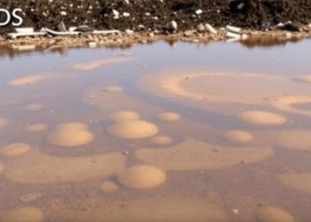 Landfill Leachate Poses a Growing Global Threat to Groundwater, Major Review Finds