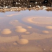 Landfill Leachate Poses a Growing Global Threat to Groundwater, Major Review Finds