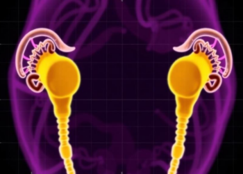 Big Data Study Redraws the Normal Range for Ovarian Cancer Marker CA125