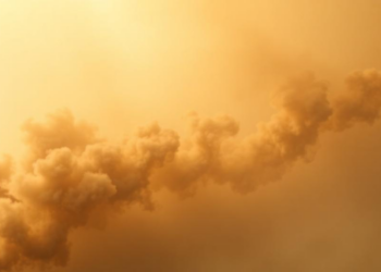 Fire Smoke and Sahara Dust Take Turns Shaping Caribbean Air Pollution