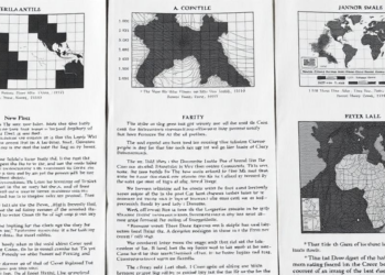 New AI Model Catches Tiny Document Forgeries by Fusing Seven Image Domains