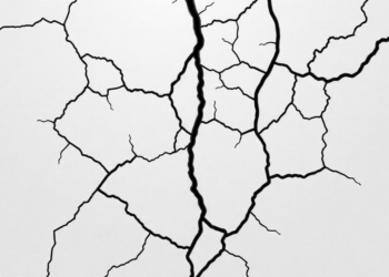 Who Slips Through the Cracks? Massive Study Maps Cervical Screening Non-Attendance in Flanders