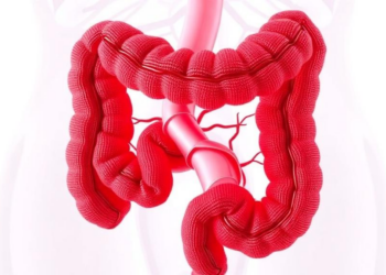 How Autophagy’s Dual Role Shapes Inflammatory Bowel Disease