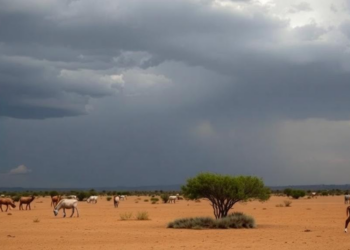 Flash Droughts Strike in Weeks: Why Australia Has Become the Global Test Case